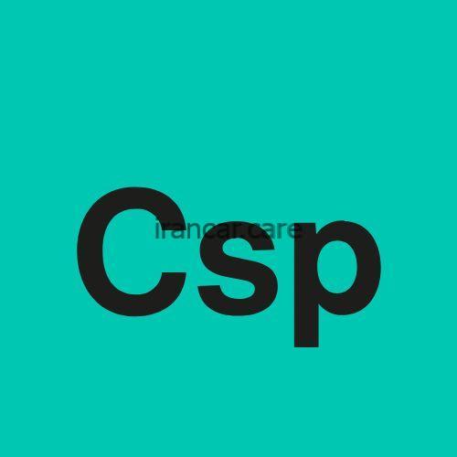 مایع تمیز کننده و محافظ قطعات پلاستیک کوکمی Koch-Chemie مدل Csp لوگو
