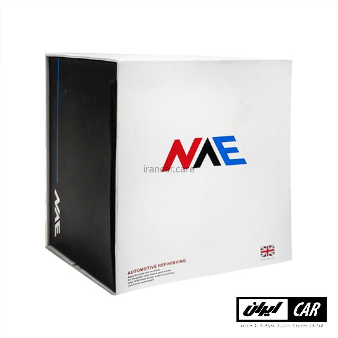 پیستوله حرفه ای رنگ خودرو سالکامیکس مدل Salcamix NAE Spray Gun (4)